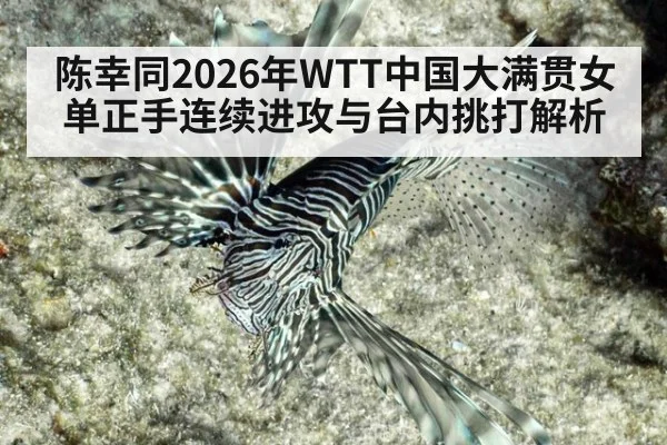 陈幸同2026年WTT中国大满贯女单正手连续进攻与台内挑打解析 - jiuyouhui